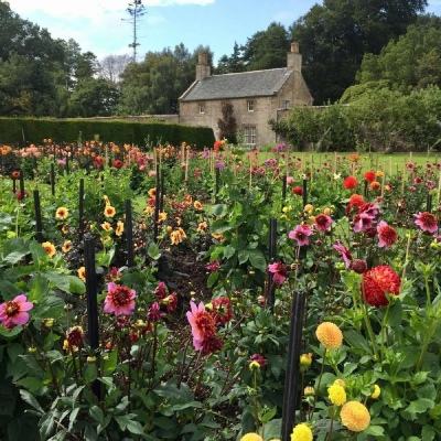 澳门银银河官方网welcome