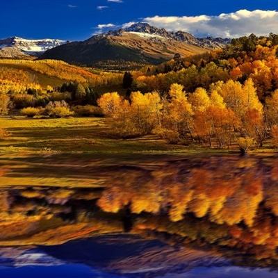 奇异果体育下载手机版