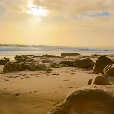 半岛手机网页版