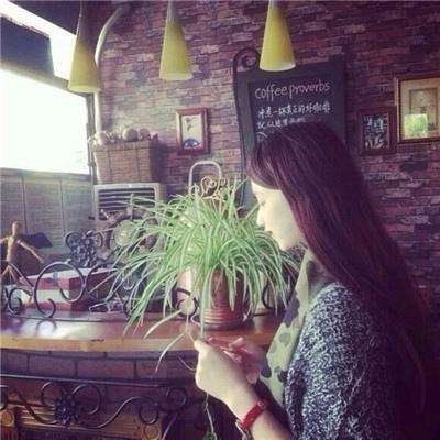 博鱼app下载(中国)官方网站